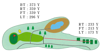 Large