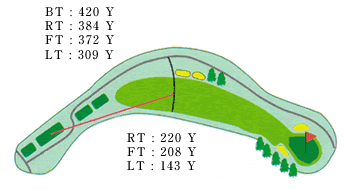 Large
