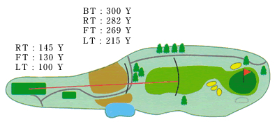 Large