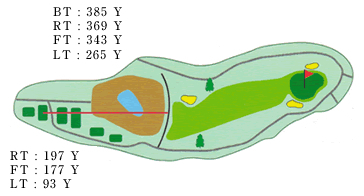Large
